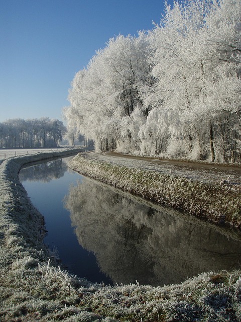 Winter, Spiegel, Bäume, Wasser