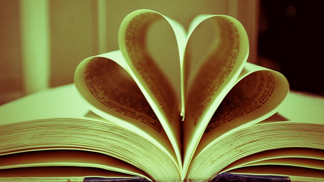 Buchen, Herz, Liebe