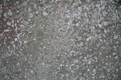 Free Grunge Texture photo and picture