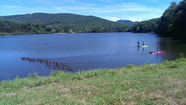 Free Lake Biltmore photo and picture