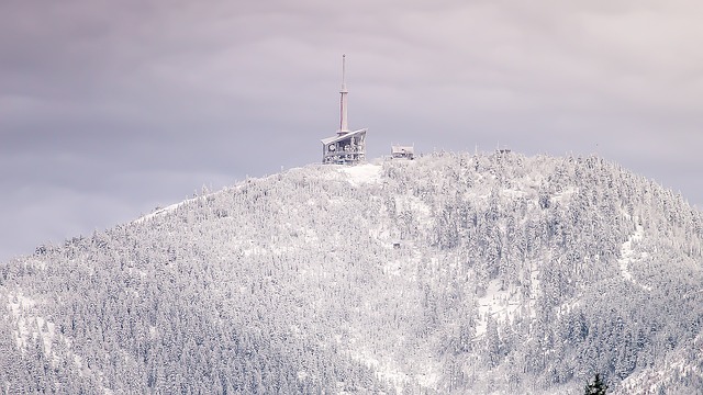 Free Mountain Snow photo and picture