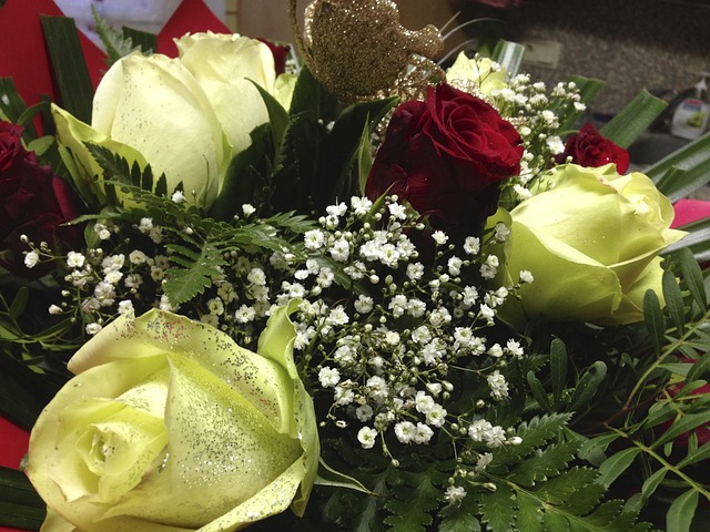 Blomst, Roser, Leder, Planter