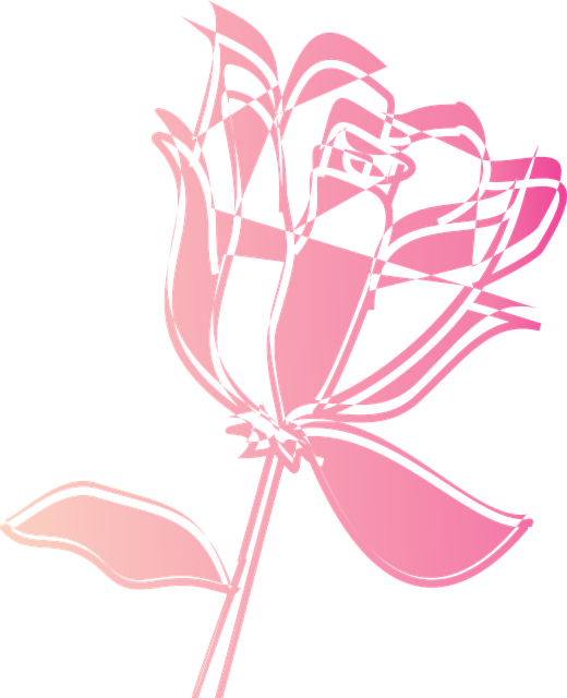 Roos, Bloem, Decoratie, Geïsoleerd, Roze