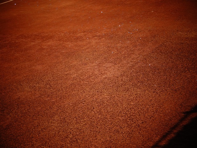 Free Tennis Racket photo and picture