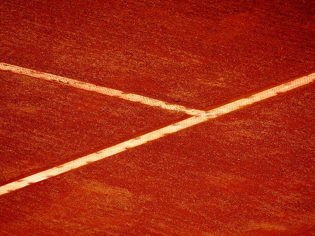 Free Tennis Racket photo and picture