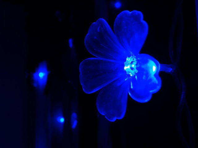 Free Christmas Lights photo and picture