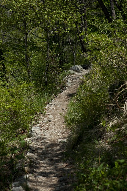 Free Road Mountain Path photo and picture