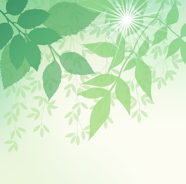 Free spring leaves nature illustration
