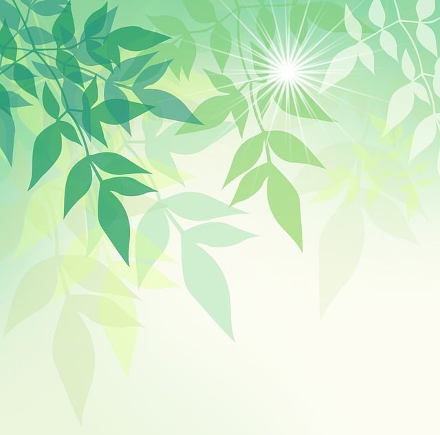Free spring leaves nature illustration