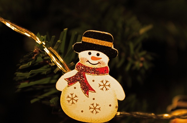 Free Snowman Decoration photo and picture