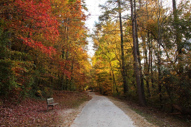 Free Fall Walk photo and picture