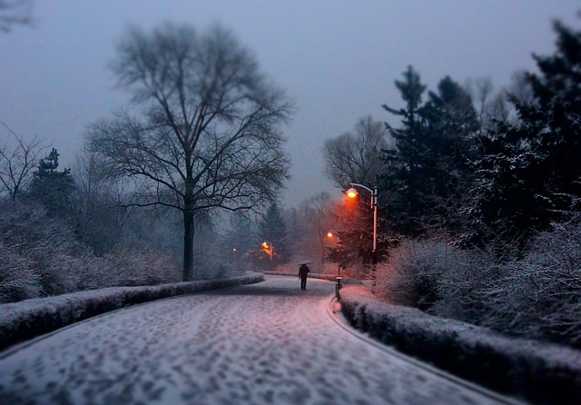 Free Snow Photography photo and picture
