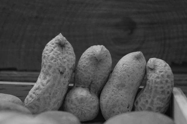 Free Peanut Brother photo and picture