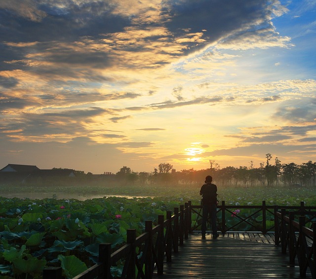 Free Sunset Landscape photo and picture
