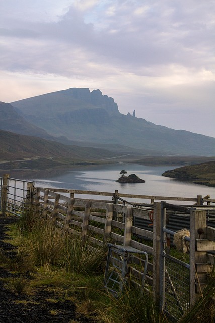 Free Mountain Fence photo and picture