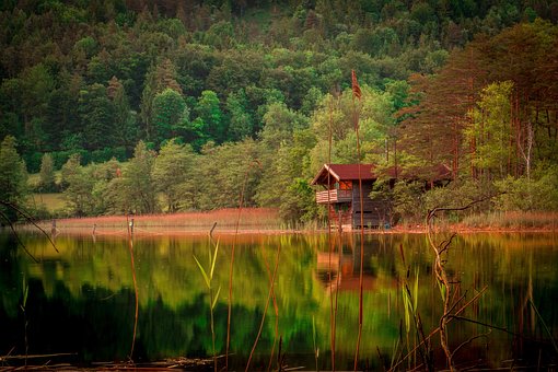 Floresta, Lago, Montanhas, Arvores