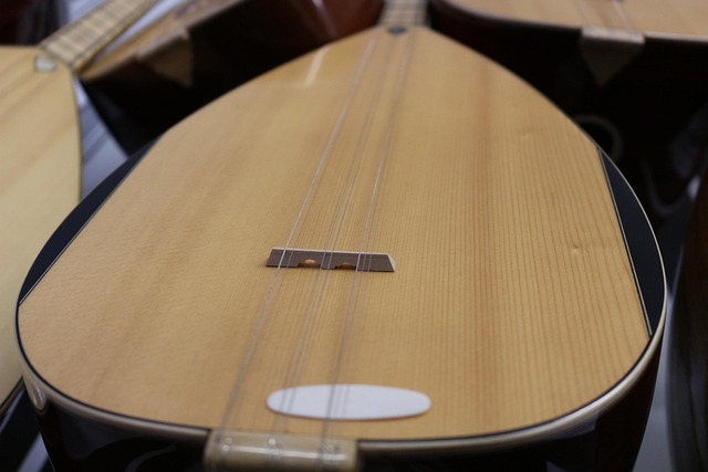 Free Reed Music photo and picture