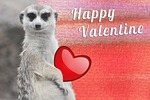 valentine, heart, shiny