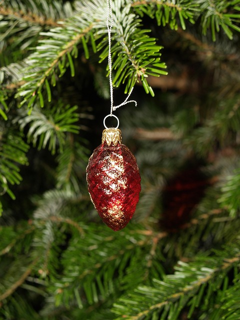 Free Christmas Tree photo and picture