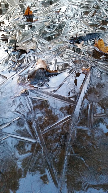 Winter, Gefroren, Eis, Kalt, Einfrieren