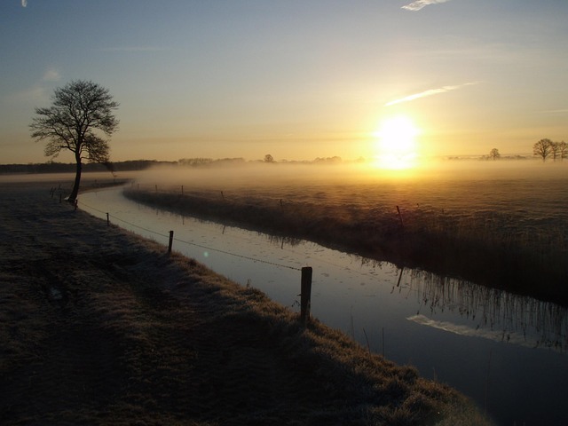 Sunrise, Sun, Kalt, Nebel, Baum