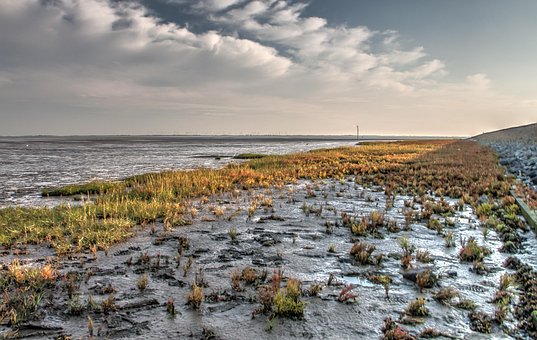 Norderney, Watt, Toamna, Hdr, Peisaj