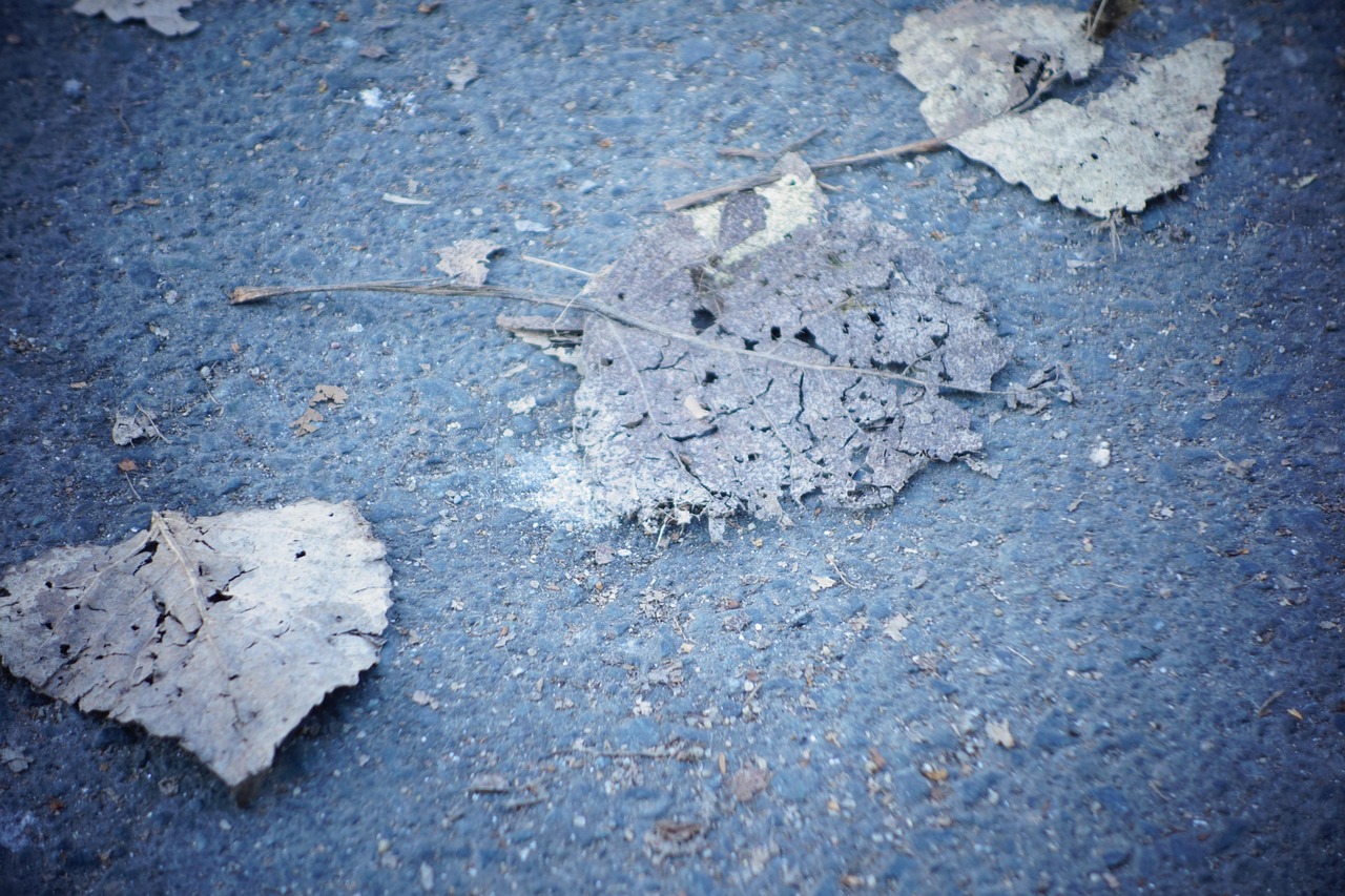 Hintergrund, Herbst, Blätter, Natur