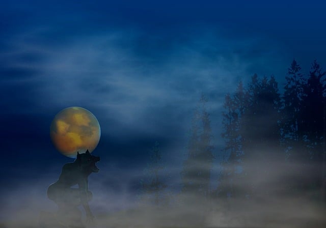 Free werewolf fantasy imagination illustration