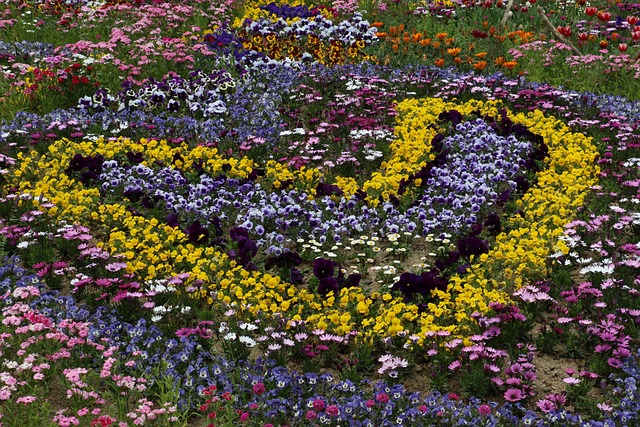 Free Flower Park photo and picture