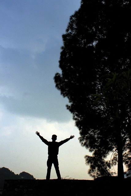Free Silhouette Man photo and picture