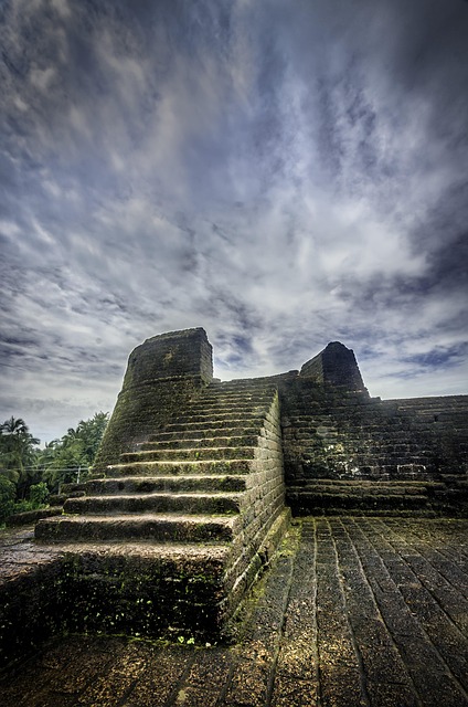 Free Stairs Moss photo and picture