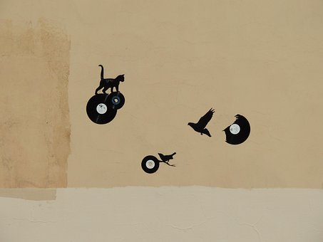 Grafiti, Muro, Arte De Rua, Gato