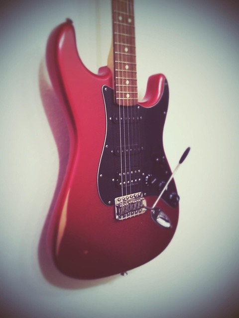 Free Guitar Stratocaster photo and picture