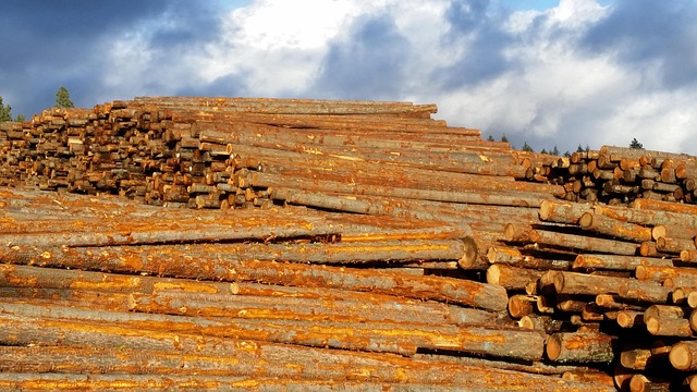 Free Lumber Sky photo and picture