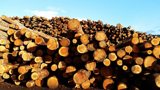 Free Lumber Sky photo and picture
