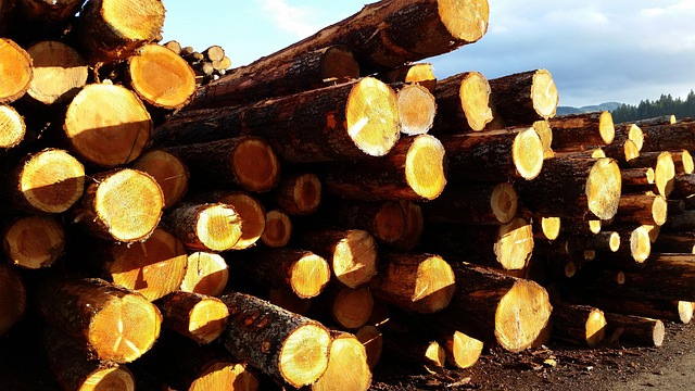 Free Lumber Sky photo and picture