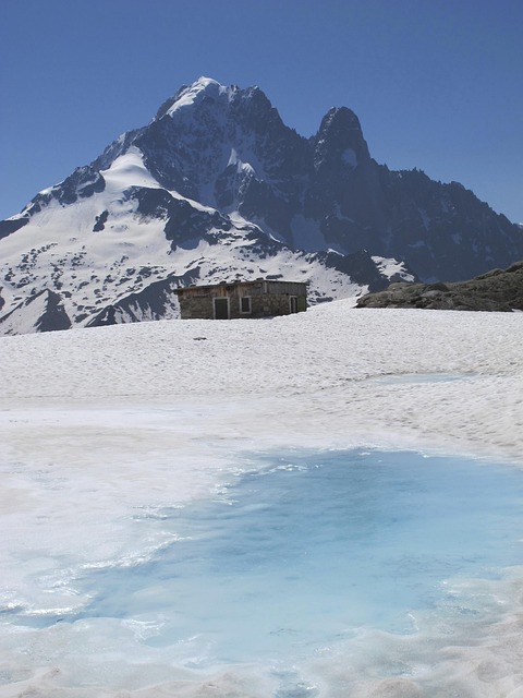 Free Alps Needle photo and picture