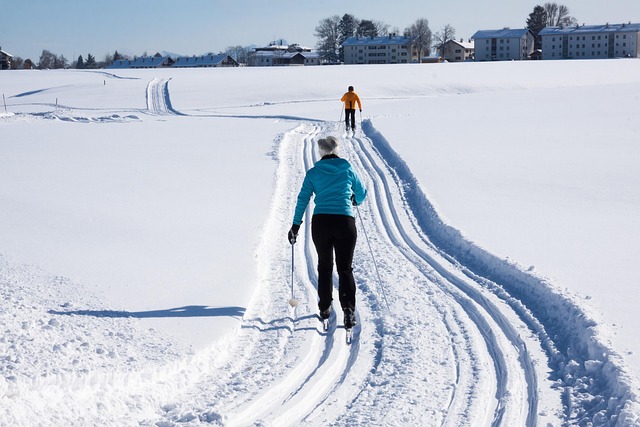 Free Cross-Country Skier photo and picture