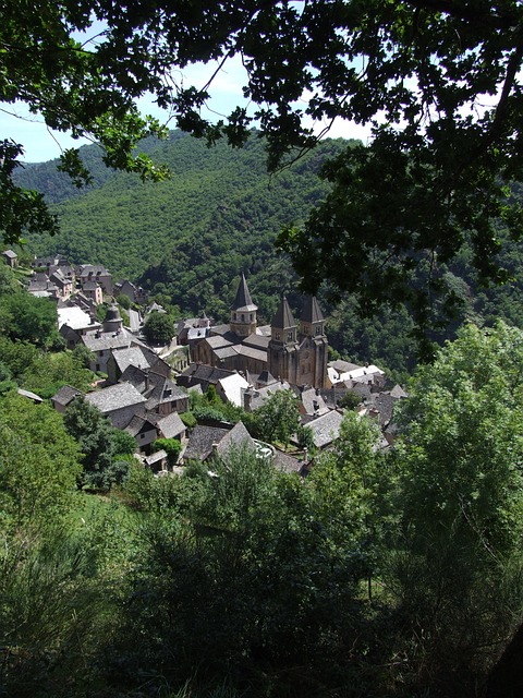 Free Conch Shell Aveyron photo and picture