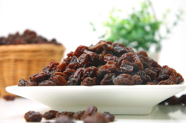 Free Food Raisin photo and picture
