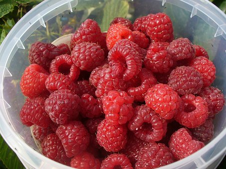 Himbeeren, Obst, Frisch, Beere, Saftig