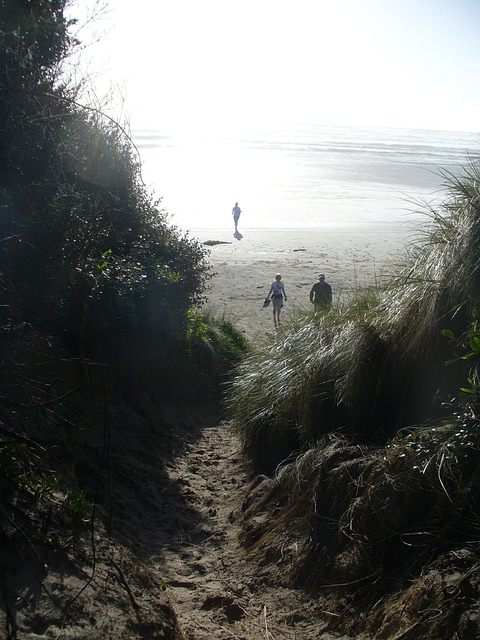 Ozean, Strand, Weg, Sand, Natur, Küste
