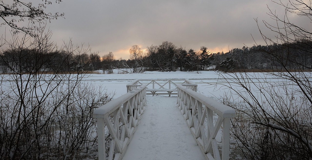 Bridge Nature Landscape - Free photo on Pixabay - Pixabay