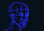head, wireframe graphics, model