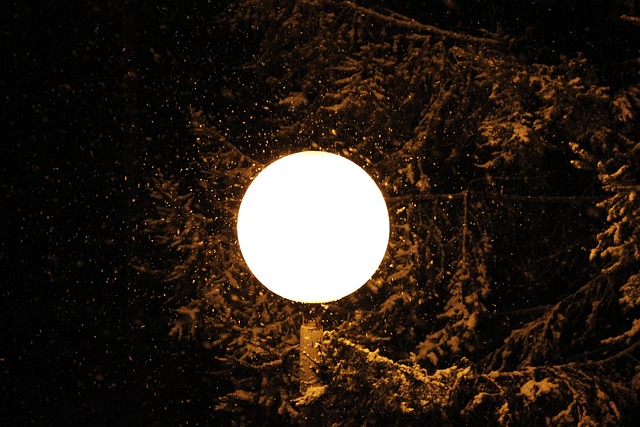 Free Lamp Night photo and picture