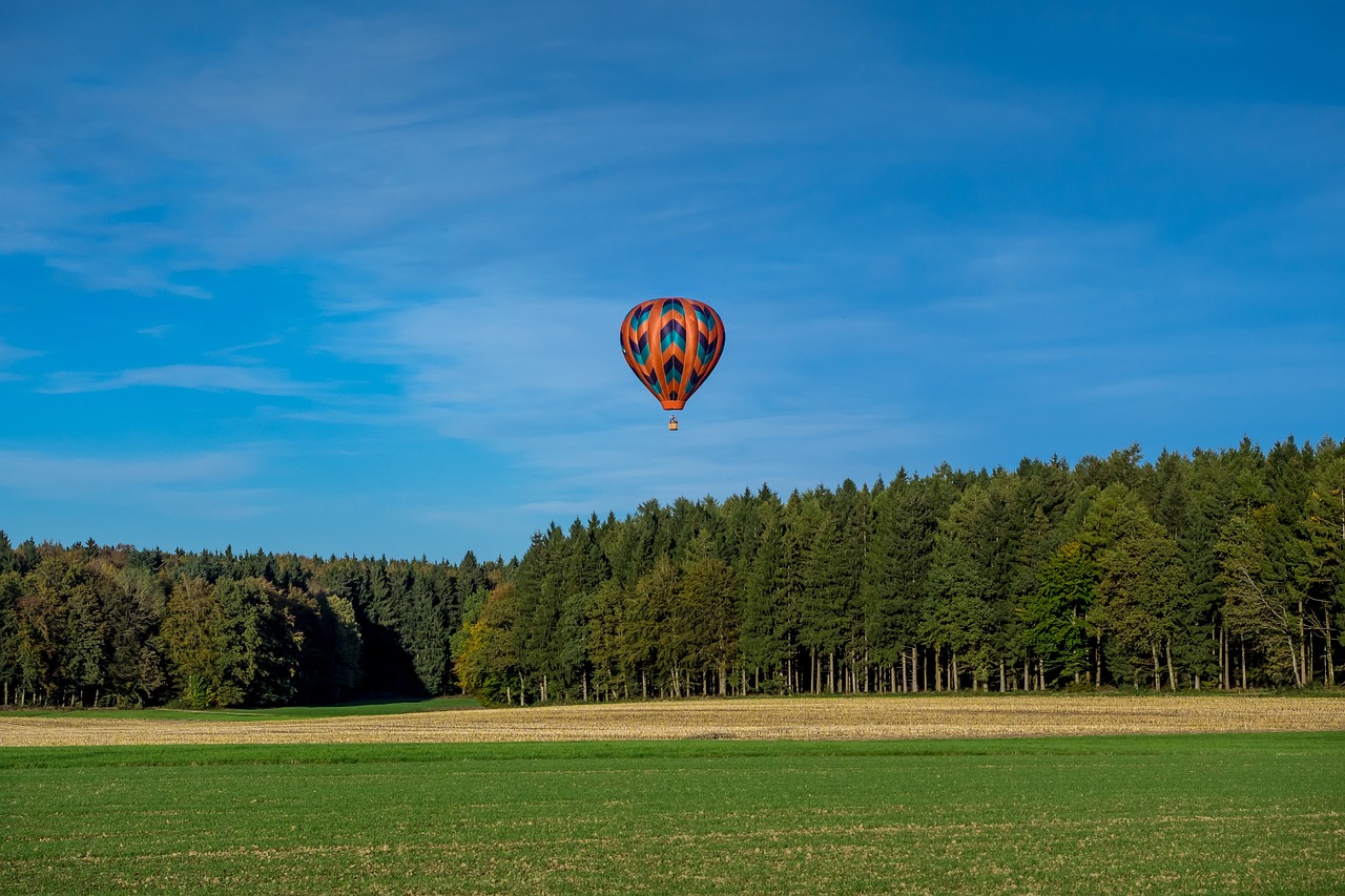 Balloon - free online jigsaw puzzle photo