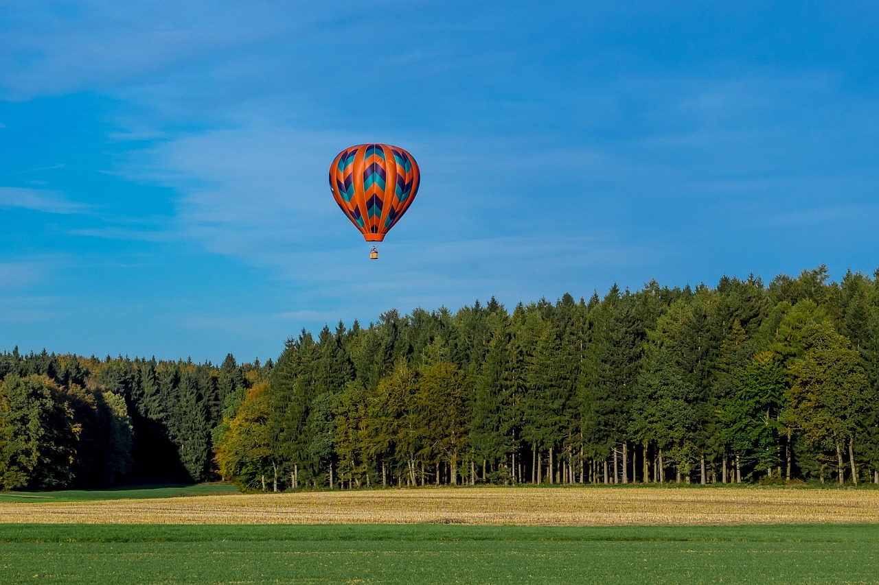 Balloon - free online jigsaw puzzle photo