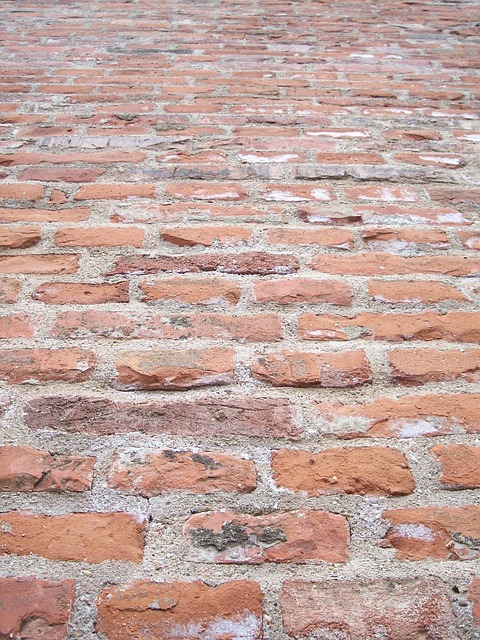 Free Wall Sample photo and picture