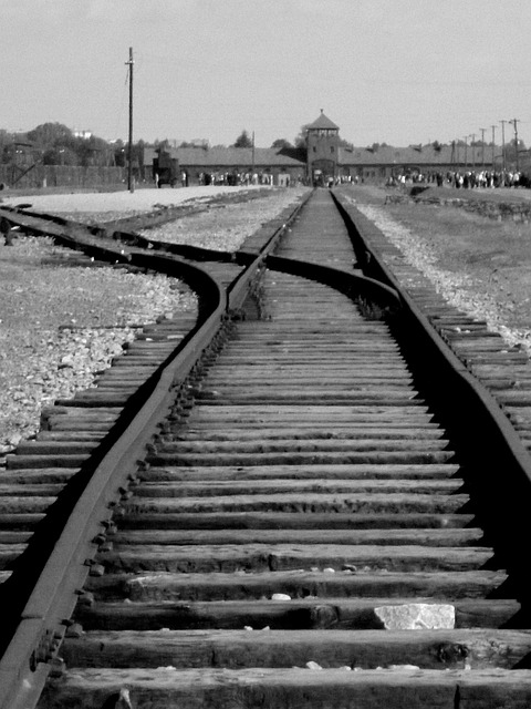 Free Auschwitz Concentration Camp photo and picture