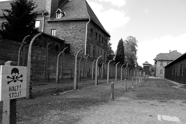 Free Auschwitz Poland photo and picture